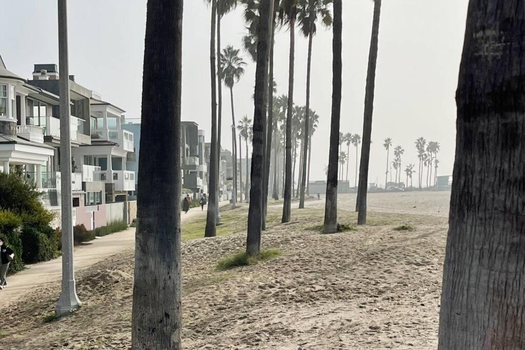 House On The Beach لوس أنجلوس المظهر الخارجي الصورة